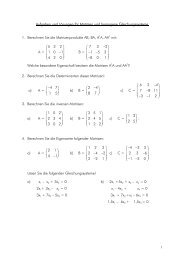 Aufgaben und Lösungen für Matrizenrechnung und homogene ...