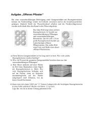 Aufgabe „Offenes Pflaster“