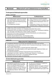 Merkblatt: Silberschorf und Colletotrichum an Kartoffeln