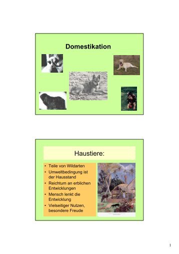 Domestikation Haustiere: