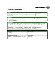 Granskingsrapport - Petroleumstilsynet