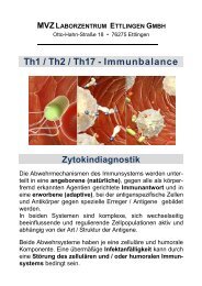 Th1 / Th2 / Th17 - Immunbalance - Laborzentrum Ettlingen