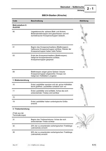 6 Süßkirsche Anhang.pdf - DLR