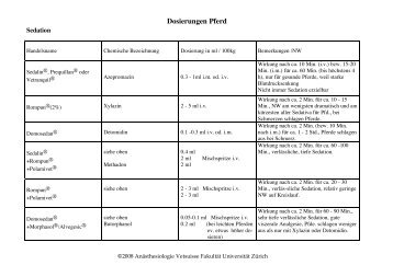 Dosierungen Pferd
