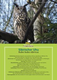 Sibirischer Uhu - Tierparkfreunde Hellabrunn eV