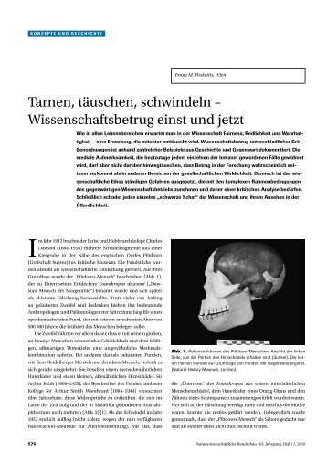 pdf-Datei zum Downloaden - Naturwissenschaftliche Rundschau