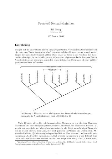 Protokoll Nemathelminthes - Till Biskup