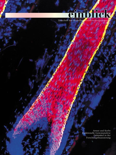 einblick - Dkfz