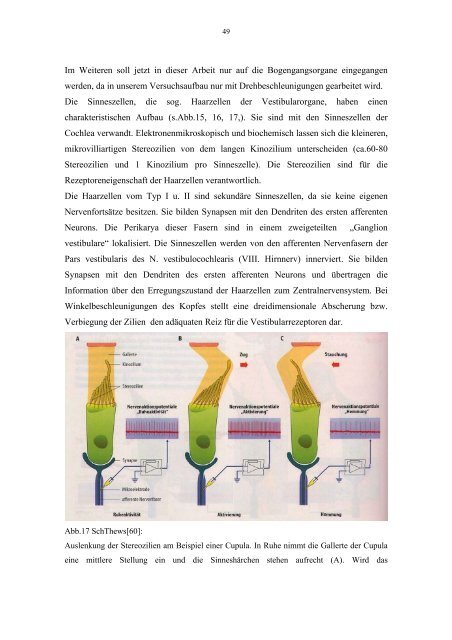 Brain Electrical Activity Mapping vestibulär evozierter Potentiale bei ...