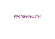 PROTEINANALYTIK