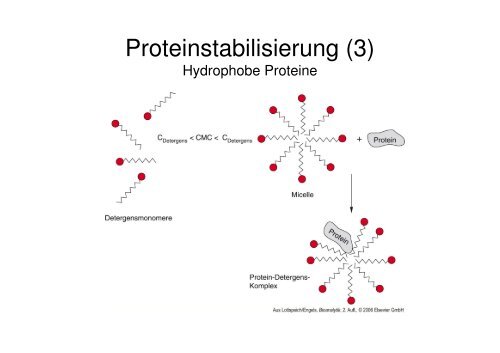 PROTEINANALYTIK