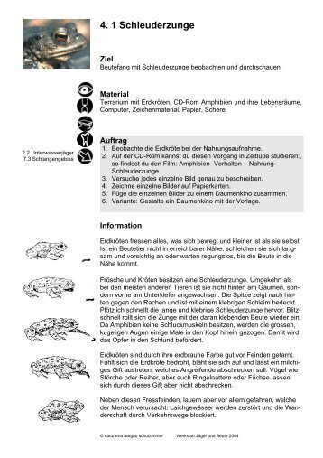 4. 1 Schleuderzunge - Naturama