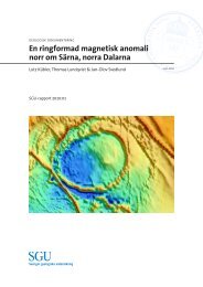 En ringformad magnetisk anomali norr om Särna, norra Dalarna