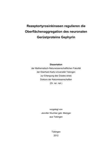 Rezeptortyrosinkinasen regulieren die Oberflächenaggregation des ...