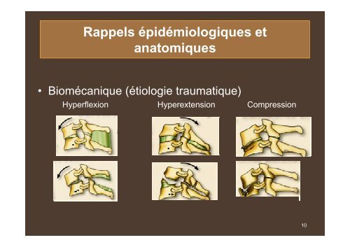 Rééducation et Réadaptation du patient blessé médullaire - Cofemer