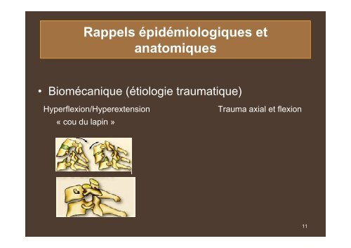 Rééducation et Réadaptation du patient blessé médullaire - Cofemer