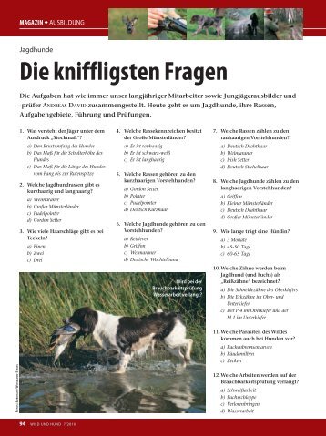 Fragen aus Heft 07/2010 - Wild und Hund