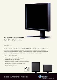 Der EIZO FlexScan L985EX. 21,3“ (54 cm) Farbmonitor