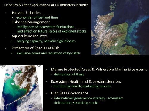 The value of EO for constructing indicators of marine ecosystem status