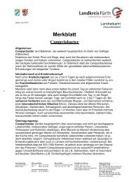 Merkblatt Campylobacter - Landkreis Fürth