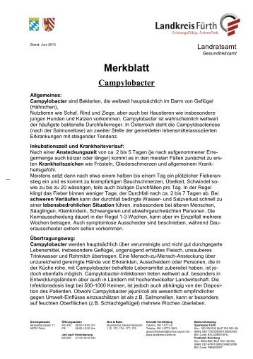 Merkblatt Campylobacter - Landkreis Fürth