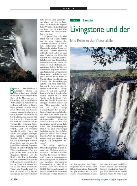 Livingstone und der