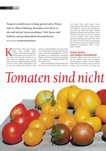 16-21 Tomaten - Natürlich