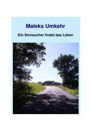 Maleks Umkehr - FCDI