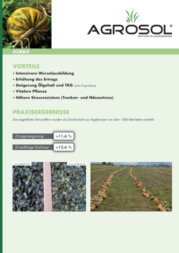Kürbis - AGROsolution