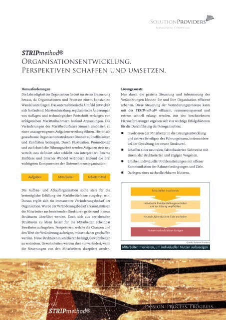 STRIPmethod® Organisationsentwicklung ... - solutionproviders