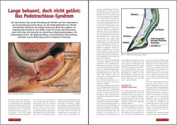 Seit Jahrzehnten wird um die Erkrankung der ... - Dr. Gert Müller