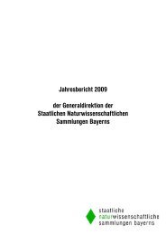 Jahresbericht 2009 - Staatliche Naturwissenschaftliche ...