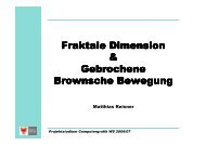 Fraktale Dimension und gebrochene Brownsche Bewegung