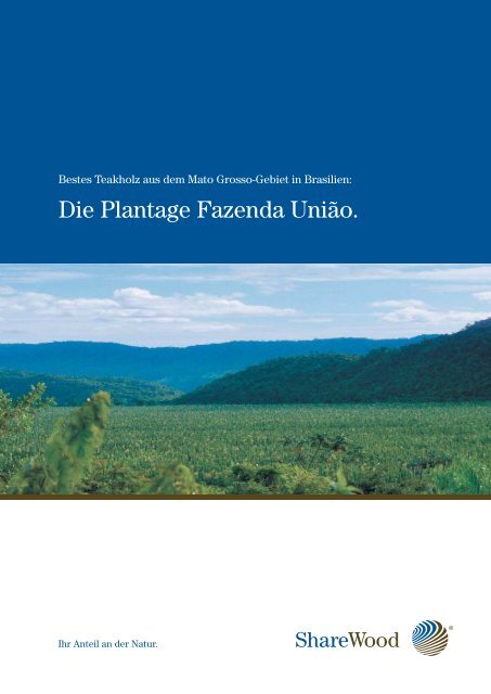 Die Plantage Fazenda União. - ShareWood Switzerland AG
