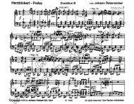 Herzbinkerl - Polka Direktion B von Johann Österreicher