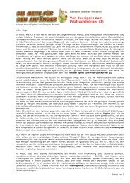 Brief 12 - Von der Spore zum Pilzkoerper I