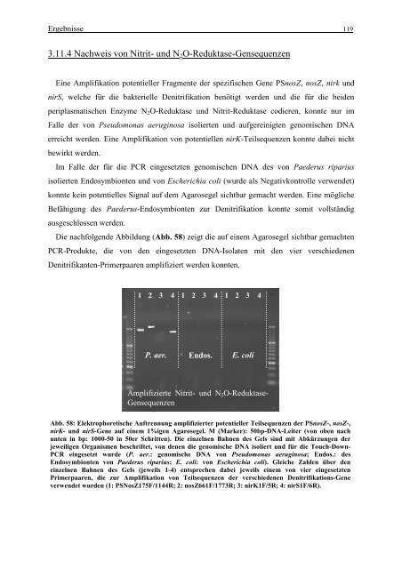 Word-Dokument Diss. komplett zusammengefasst - OPUS Bayreuth ...