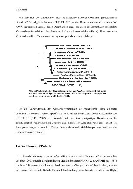 Word-Dokument Diss. komplett zusammengefasst - OPUS Bayreuth ...