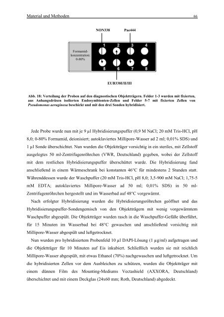 Word-Dokument Diss. komplett zusammengefasst - OPUS Bayreuth ...