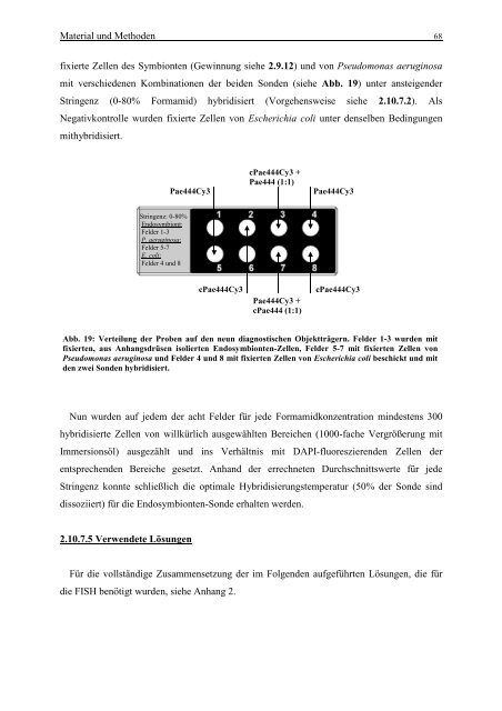 Word-Dokument Diss. komplett zusammengefasst - OPUS Bayreuth ...