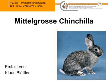 Praesentation Mittelgrosse Chinchilla.pdf