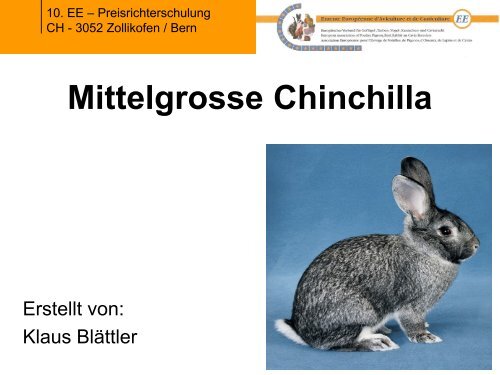 Praesentation Mittelgrosse Chinchilla.pdf