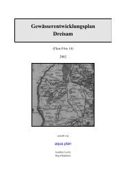 Gewässerentwicklungskonzept zur Dreisam ... - unsere Dreisam