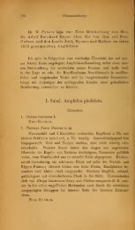 Meyer, A.B. 1874. Eine Mittheilung über die von mir auf Neu–Guinea ...