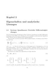 Kapitel 2 Eigenschaften und analytische Lösungen