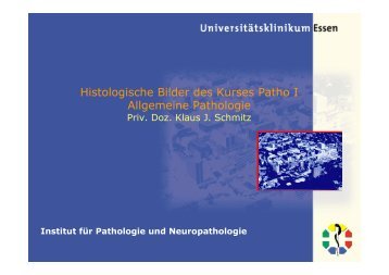 Histologische Bilder des Kurses Patho I Allgemeine Pathologie