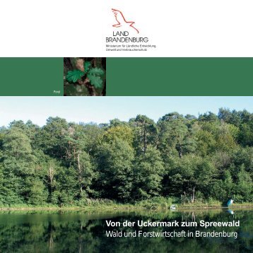 Von der Uckermark zum Spreewald - Landesbetrieb Forst ...