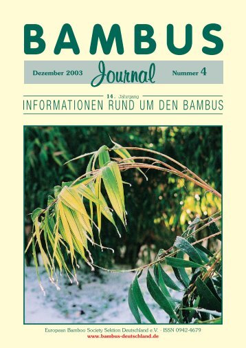 informationen rund um den bambus - Forum der European Bamboo ...