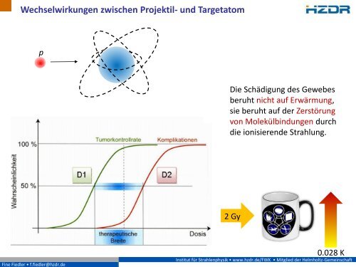 Erfolgreich gegen Krebs - Präzisionsbestrahlungen mit Ionen