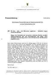 130319_Auf Menschen zugefahren - Haftbefehl.pdf